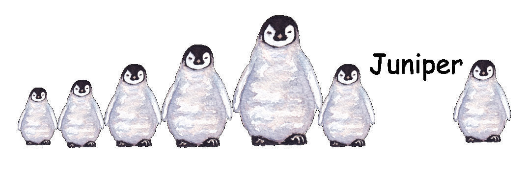 Personalized Penguin Mug